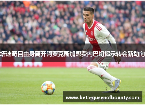 塔迪奇自由身离开阿贾克斯加盟费内巴切揭示转会新动向 塔迪奇自由身离开阿贾克斯加盟费内巴切揭示转会新动向