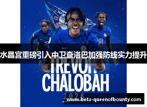水晶宫重磅引入中卫查洛巴加强防线实力提升